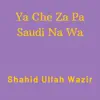 Shahid Ullah Wazir - Ya Che Za Pa Saudi Na Wa - Single